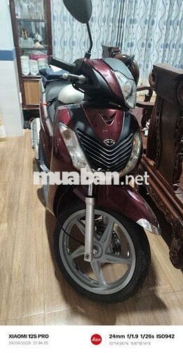 Cặp xe Sh Ý 150 đời 208-209