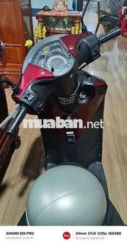 Cặp xe Sh Ý 150 đời 208-209