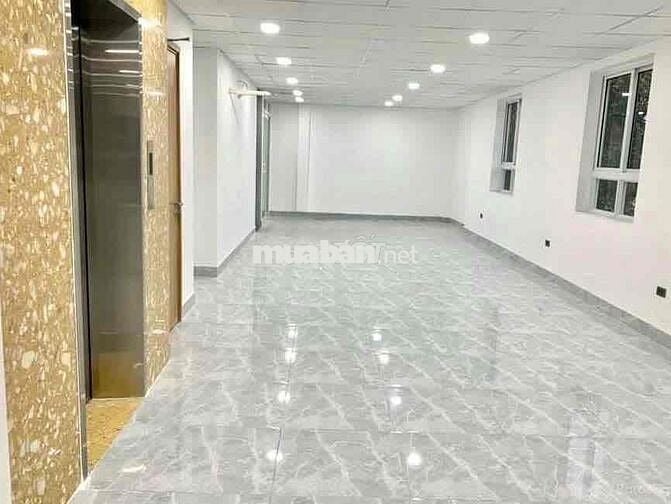 ✅ Cho Thuê Toà Nhà 4 Lầu Hầm Xe 735m2 DTSD_Nguyễn Trọng Tuyển_Tân Binh