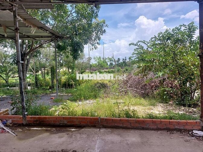 Bán đất chính chủ, sổ đỏ, vị trí đẹp, 2010m2, 300m2 thổ cư, GD ngay
