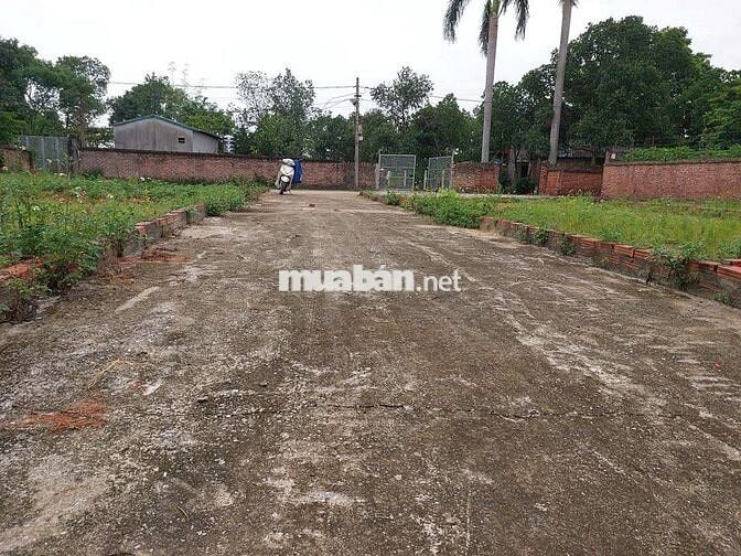 Chính chủ Bán Đất Rẻ Nhất Khu Vực. Tiềm Năng Cao cho nhà đầu tư Chính chủ Bán Đất Rẻ Nhất Khu Vực. Tiềm Năng Cao cho nhà đầu tư