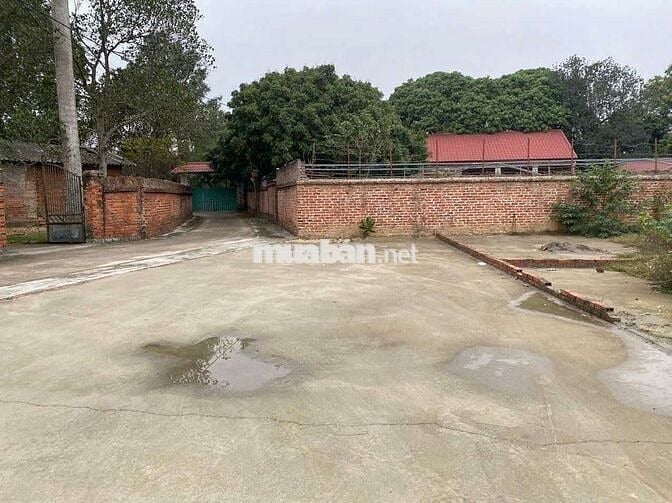Chính chủ Bán Đất Rẻ Nhất Khu Vực. Tiềm Năng Cao cho nhà đầu tư