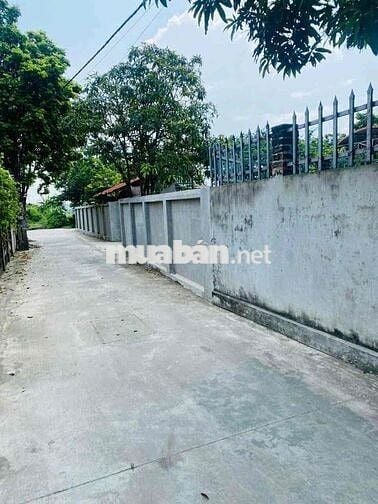 🏡 Chính chủ bán 02 lô đất full thổ cư tại Thôn Thanh Huệ, xã Đa Phúc,