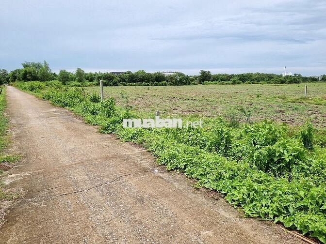7m mặt tiền đường bê tông. Ngay KCN Phước Đông. 700tr