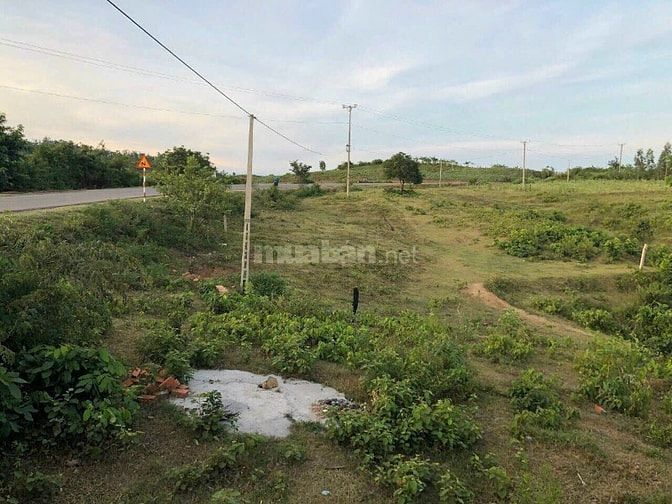 Đất kinh doanh mặt tiền đường 1.500m2