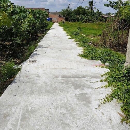 135mv THỔ CƯ 5×26 ,GIÁ 379tr/SỔ , TÂN TRỤ LONG AN GẦN TRUNG TÂM NGÃ 4