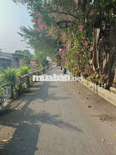 Bán nhà 2/Quốc Lộ 22 vào 1km, xã Tân Thông Hội, 103m2. Giá 1 tỷ 550