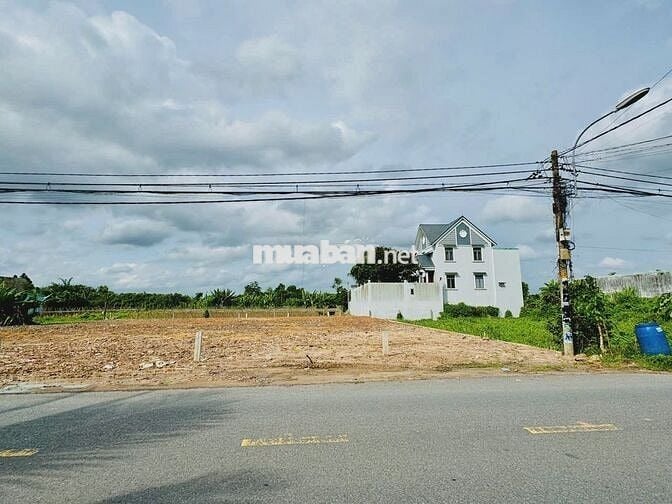 Bán đất 162m2 - 100% Thổ Cư - Tân Thông Hội - Củ Chi . Giá 1 tỷ 500