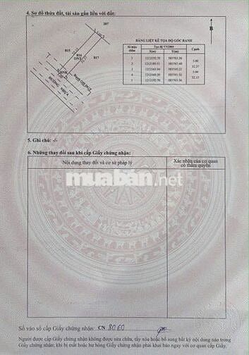 Bán đất 162m2 - 100% Thổ Cư - Tân Thông Hội - Củ Chi . Giá 1 tỷ 500