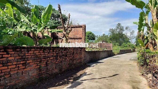 Cơ Hội Cho Nhà Đầu Tư Hàng  F0. Đất Gần khu công nghiệp sạch Minh Trí