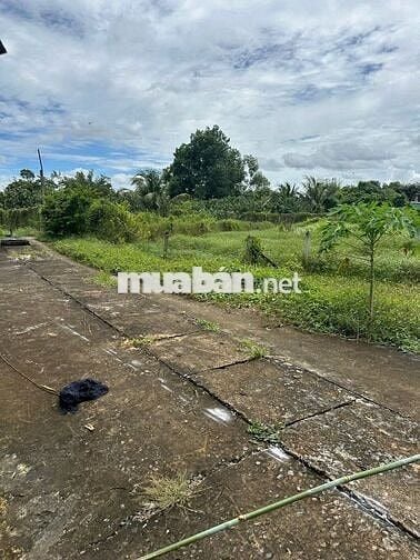 BÁN ĐẤT THÁI MỸ, CỦ CHI - 3 MẶT TIỀN FULL THỔ CƯ 166M²