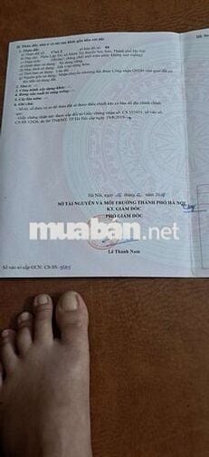 Cơ Hội Cho Nhà Đầu Tư Hàng  F0. Đất Gần khu công nghiệp sạch Minh Trí