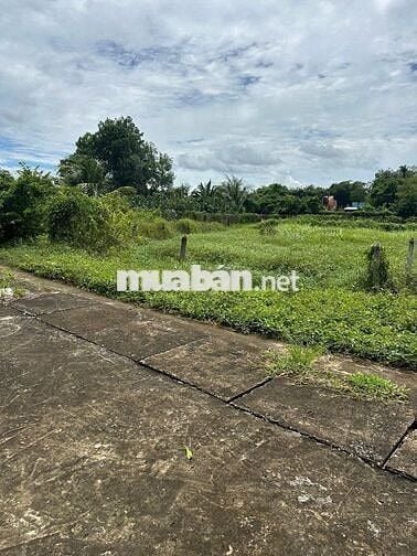 BÁN ĐẤT THÁI MỸ, CỦ CHI - 3 MẶT TIỀN FULL THỔ CƯ 166M²