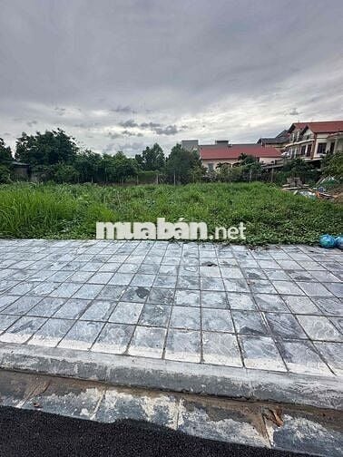 🌟 Bán đất 29m² – Hậu Dưỡng, Kim Chung, Đông Anh 🌟