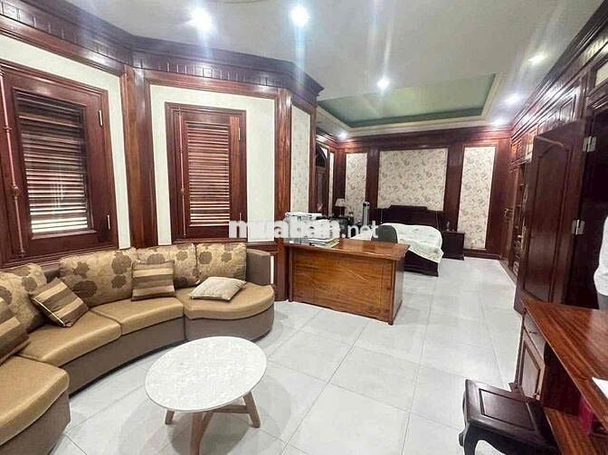 Cho thuê biệt thự 320m2 Hiệp Thành 3, Thủ Dầu Một, Bình Dương - Thiết