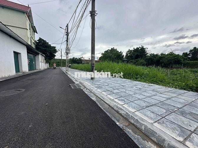 💎 Đất đẹp 45m² – Ô tô đỗ cửa – Võng La, Đông Anh 💎