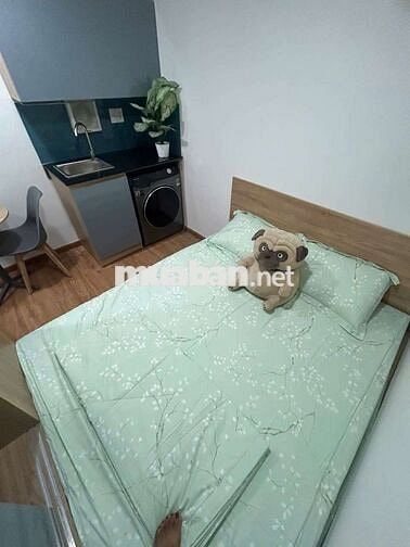 KHAI TRƯƠNG CHDV STUDIO MỚI 100% - TRUNG TÂM Q.BÌNH THẠNH GIÁ RẺ
