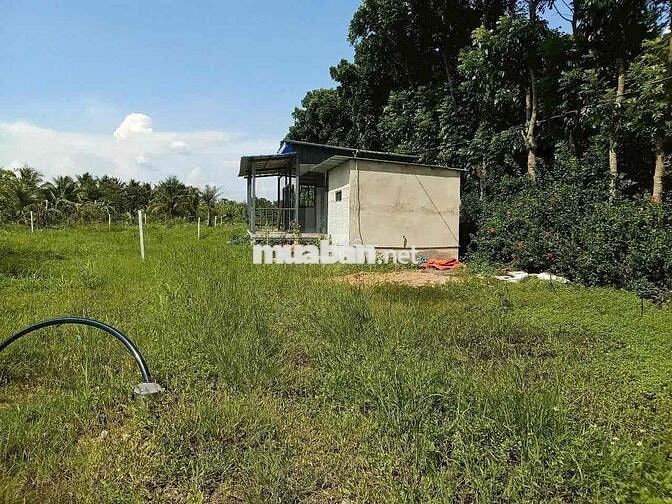 Bán 1000m2 đất tặng nhà lắp ghép mới tinh,gần QL1A,Long Khánh Đồng Nai