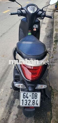 Zanus như mới luôn,áo keo,như trong hãng dắt ra