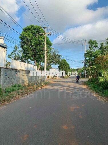 ĐẤT KHU DÂN CƯ HÒA LONG - CÁCH CAO TỐC CHỈ 200M - SỔ SẴN, XÂY TỰ DO