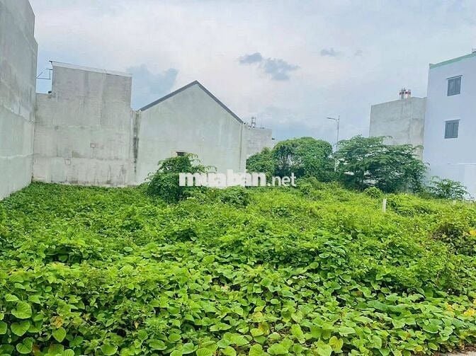 CẦN Bán gấp LÔ ĐẤT NGỘP BÌNH MỸ CỦ CHI 107m2 giá chỉ 600tr SHR