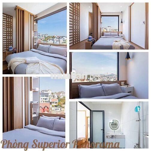 Chủ GẤP lắm rồi! bán lỗ khách sạn Mặt tiền, thu nhập 70 triệu/tháng