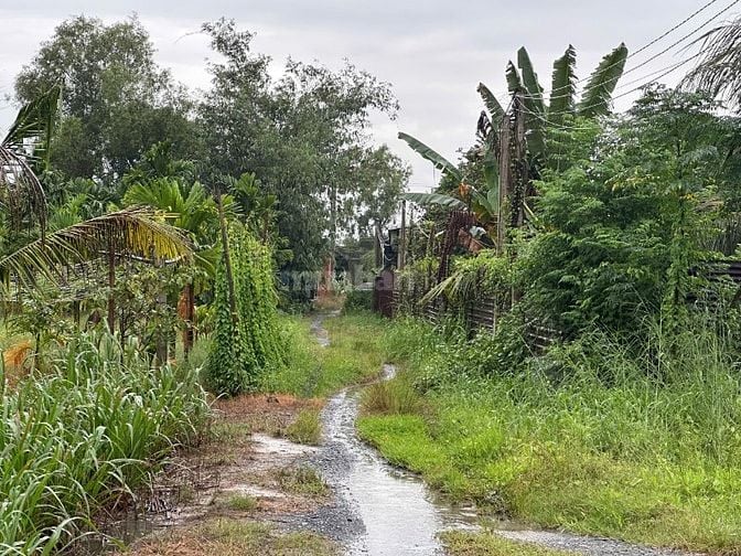 🌿 BÁN ĐẤT VƯỜN GIÁ RẺ – HẺM XE HƠI – TRẢNG BÀNG, TÂY NINH 🌿