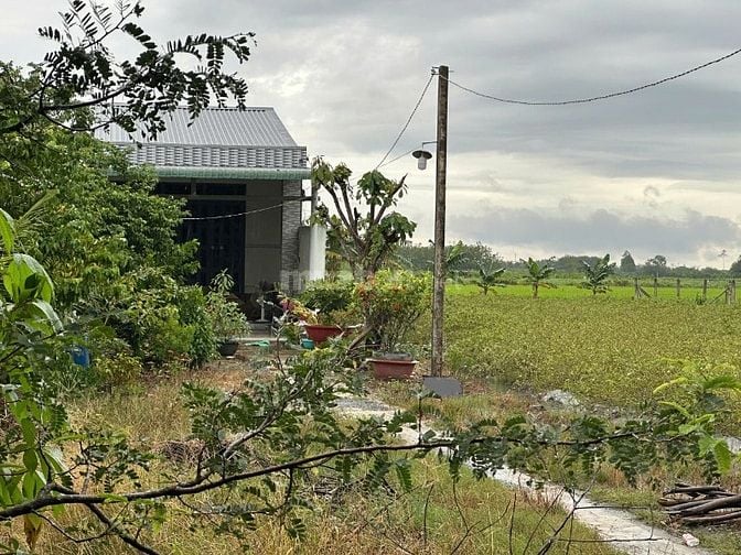 🌿 BÁN ĐẤT VƯỜN GIÁ RẺ – HẺM XE HƠI – TRẢNG BÀNG, TÂY NINH 🌿