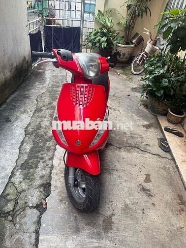 xe piggio Zip Y dang the thao dời 2014