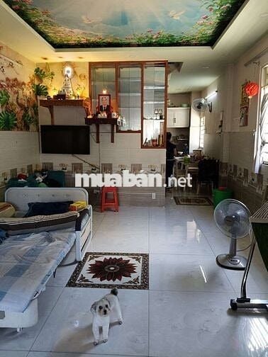 Nhà  mặt tiền hẻm 8m Tây Lân – Vừa ở vừa kinh doanh, giá chỉ 4,6 tỷ