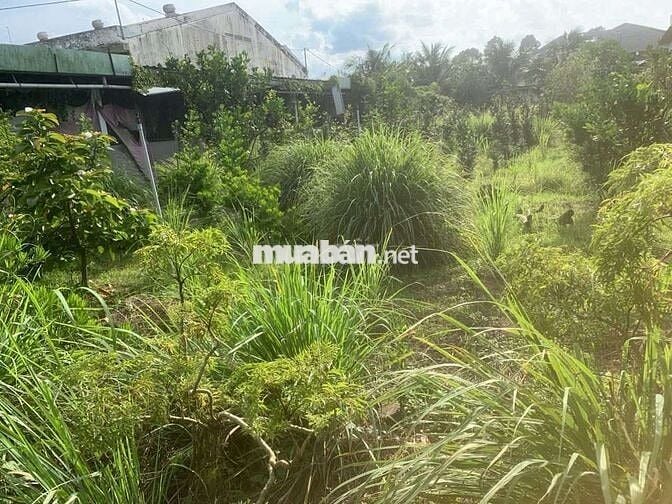NHÀ + VƯỜN trung tâm thị trấn Châu Thành