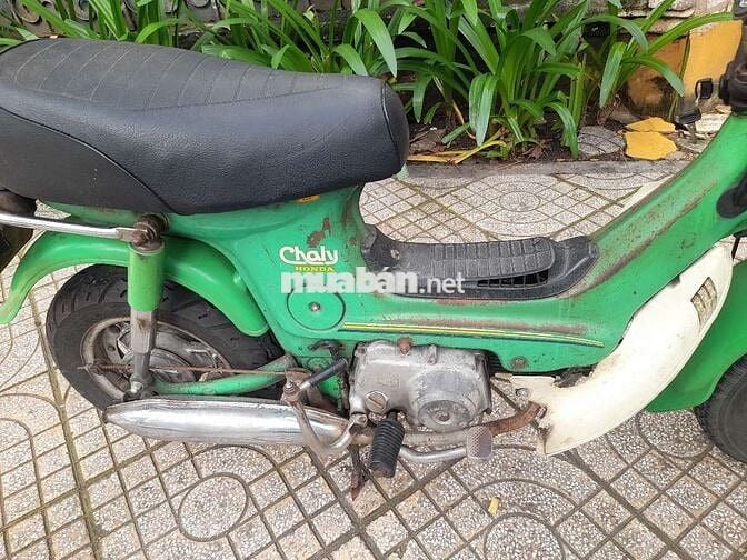 Chaly 81 50  xe  zin tư a đ  z may  êm b số tp