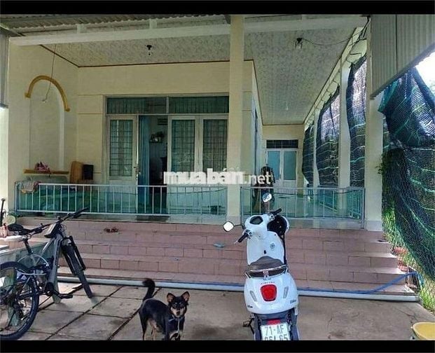 NHÀ + VƯỜN trung tâm thị trấn Châu Thành