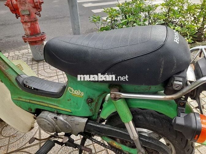 Chaly 81 50  xe  zin tư a đ  z may  êm b số tp