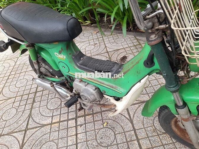 Chaly 81 50  xe  zin tư a đ  z may  êm b số tp