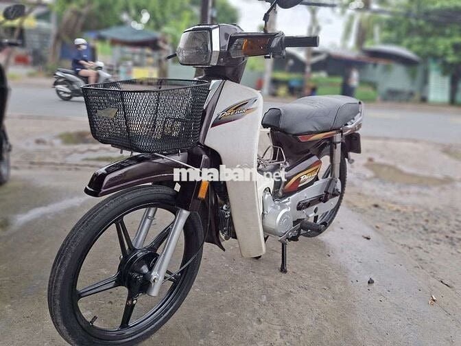 DIM HÀN QUỐC HÔNGDA . BSTP CÀ VẸT ĐẦY ĐỦ
