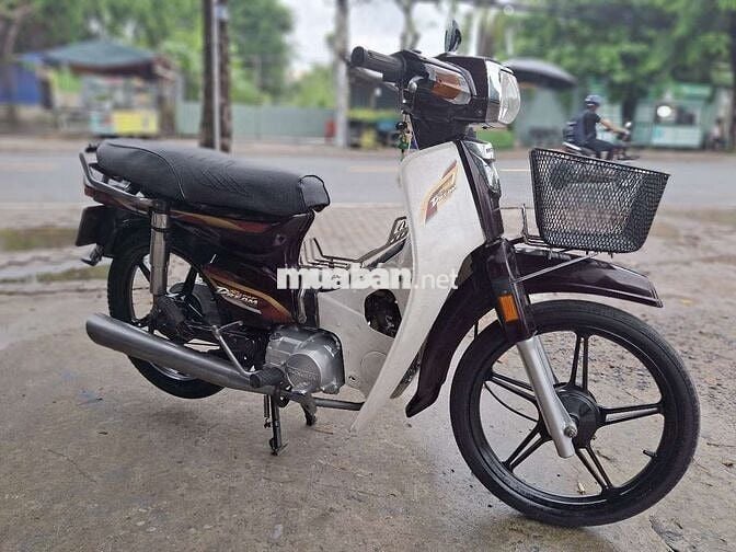 DIM HÀN QUỐC HÔNGDA . BSTP CÀ VẸT ĐẦY ĐỦ