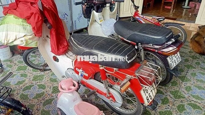 Xe cub DD đỏ