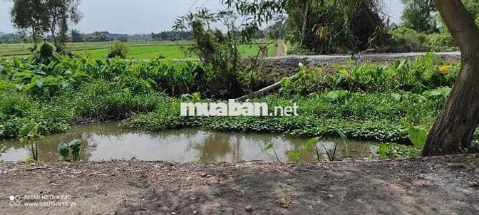 ĐẤT MẶT TIỀN ĐƯỜNG 171,DT:1330m1,SỔ HỒNG RIÊNG,CHỈ 7.8 TỶ