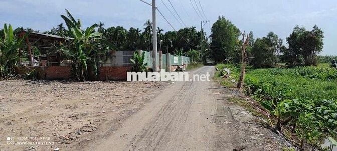 ĐẤT MẶT TIỀN ĐƯỜNG 171,DT:1330m1,SỔ HỒNG RIÊNG,CHỈ 7.8 TỶ