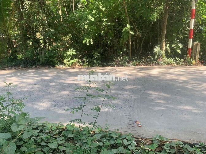 Dất 135m2 thổ cư 100%, vị trí đẹp thoáng mát, đường đi các hướng