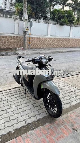 Shmode 2025abs Bản xám xi măng