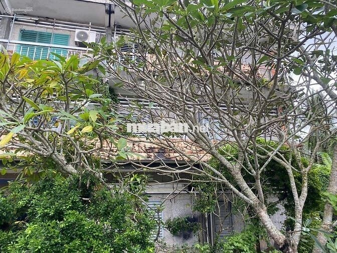 Cho thuê căn hộ dạy thêm, hoặc văn phòng tại phường 7, Bến Tre