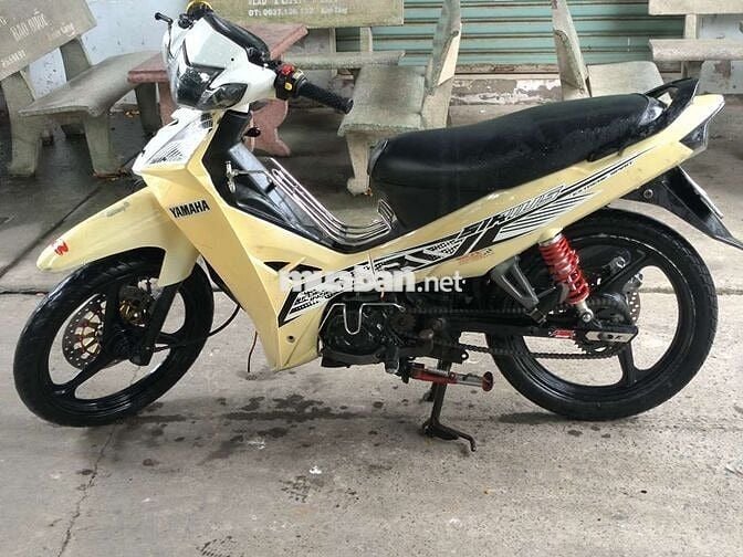 Sirius kiểng có đồ chơi