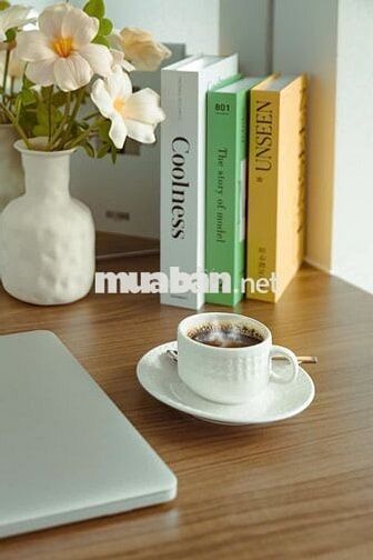 🌸CĂN HỘ CHO THUÊ, MỚI XINH THOÁNG KHU MỸ KHÊ CÁCH BIỂN 300M