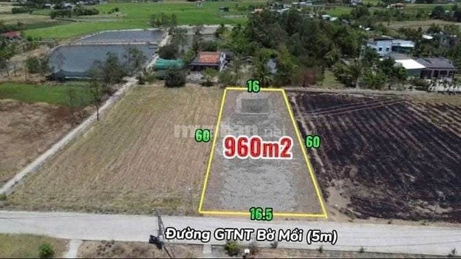 CHÍNH CHỦ kẹt tiền bán gấp 500m2 đất thổ, Phước Đông