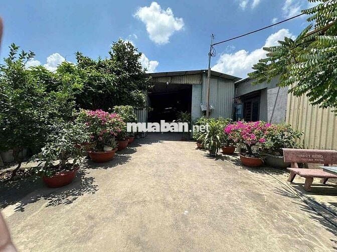 Kho 600m2 cho thuê, Kinh Trung Ương, Vĩnh Lộc A, Bình Chánh