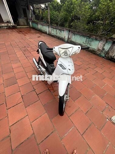Xe wave 50cc
