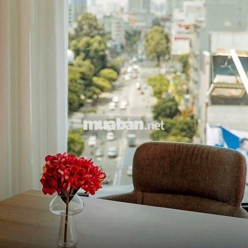 🏙️ Sân thượng rộng 300m², Cách Mạng Tháng 8, Bến Thành, Q1, thuê 60tr