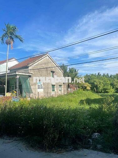 BÁN ĐẤT CẨM THANH- TRUNG TÂM PHỐ CỔ HỘI AN- GIÁ NHỈNH 14,5 TR/ M2